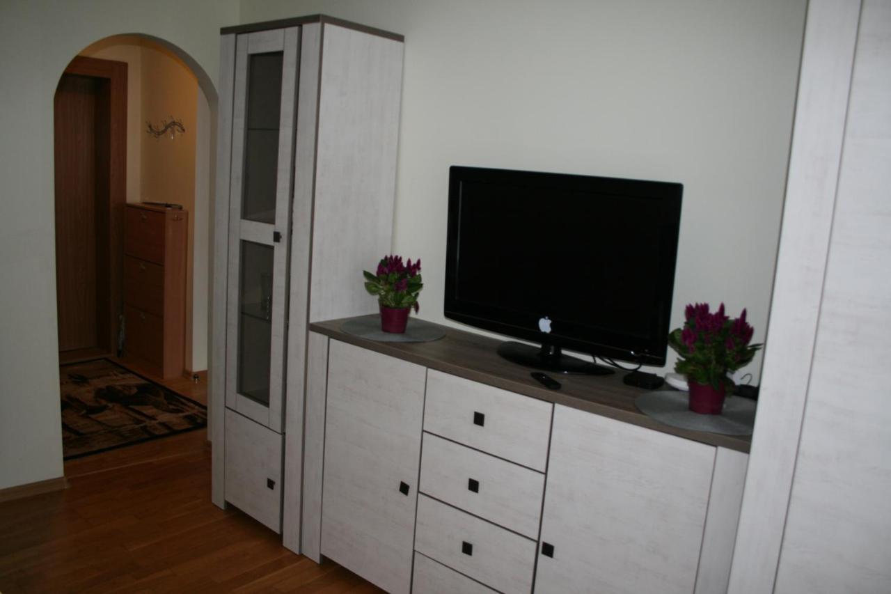 Cosy One Room Apartment ヴィリニュス エクステリア 写真