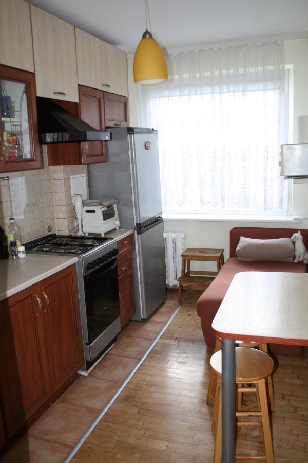 Cosy One Room Apartment ヴィリニュス エクステリア 写真