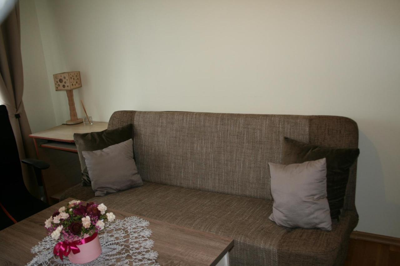 Cosy One Room Apartment ヴィリニュス エクステリア 写真